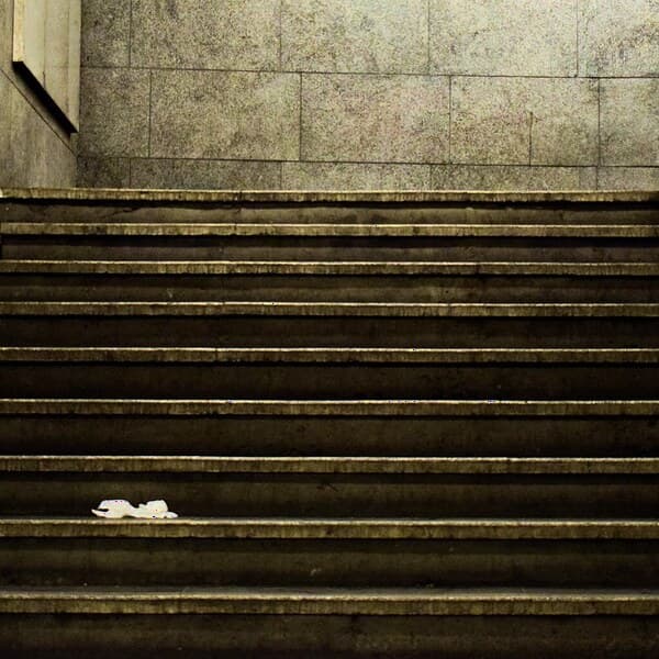 The Learning Architecture